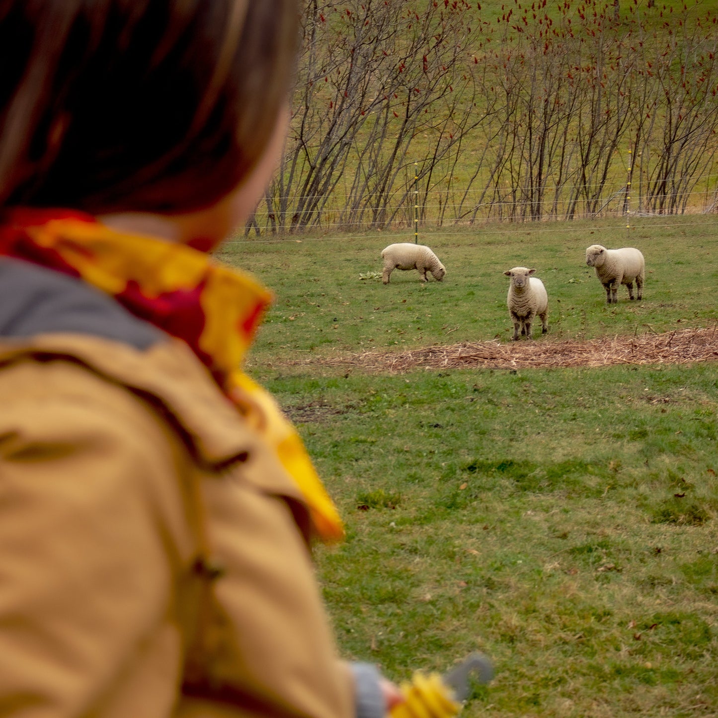Leaning Into Leaves 22x22inch 100% cotton infinite bandana