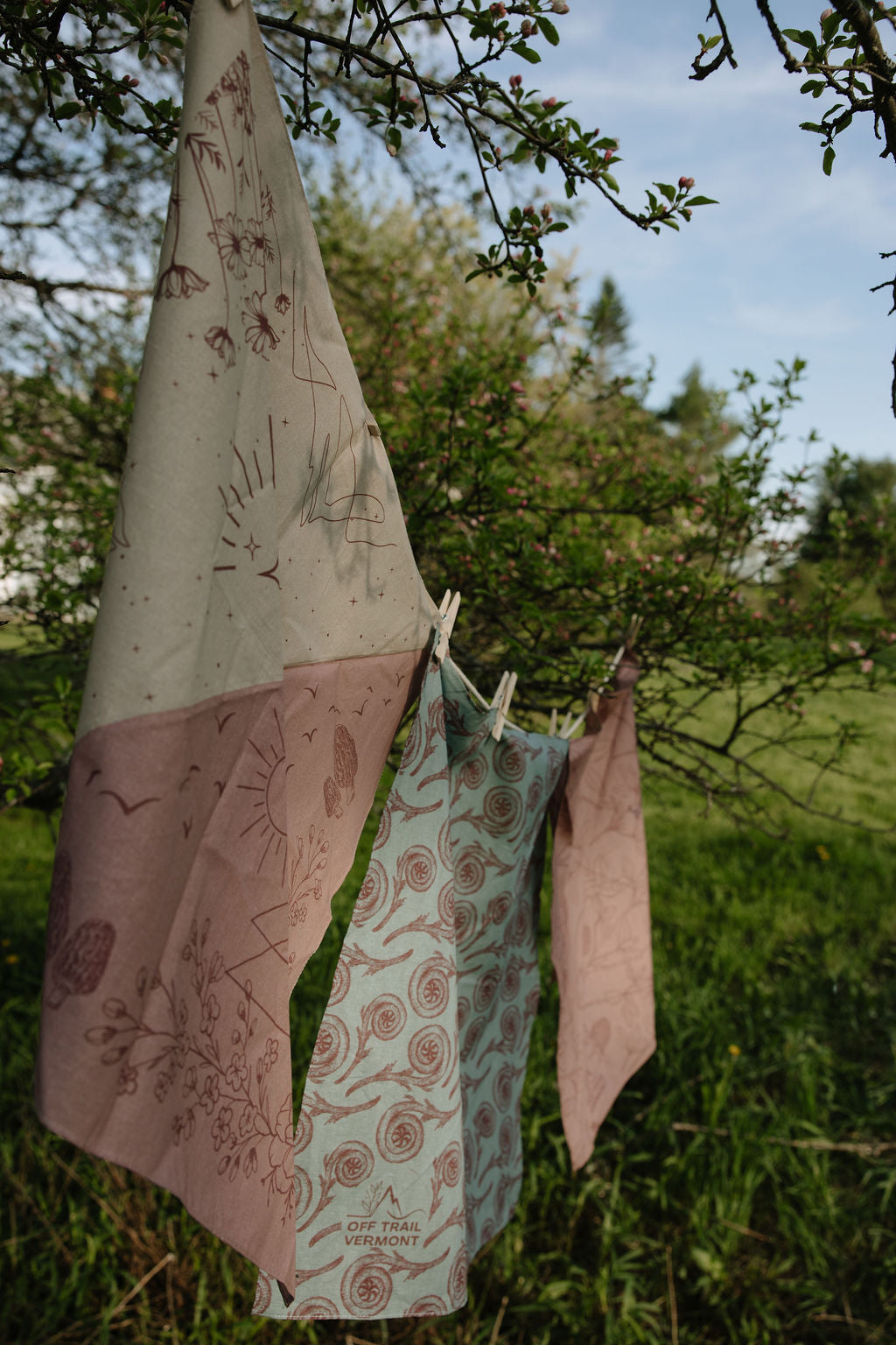 Spring Dreams