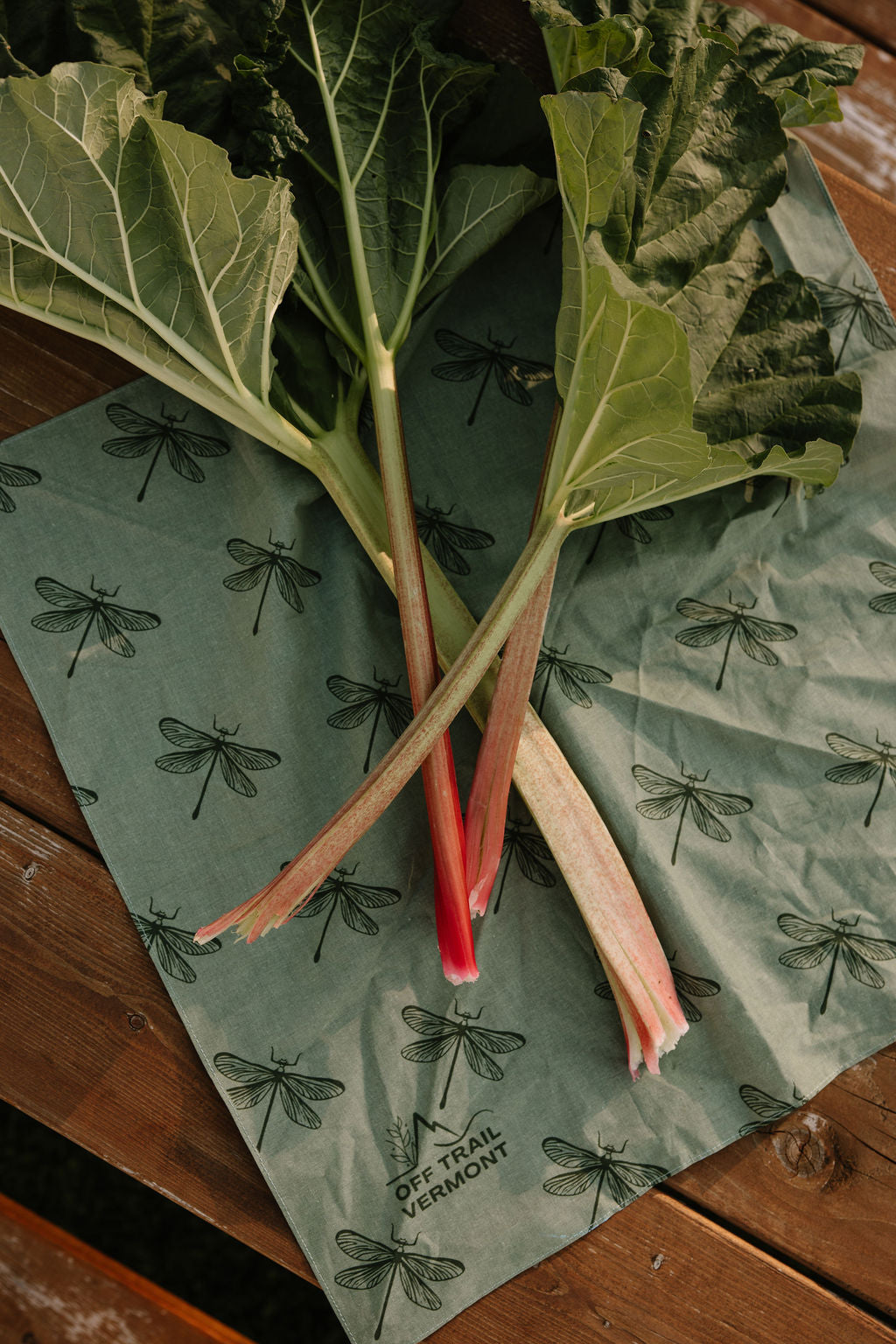 rhubarb displayed on off trail vermont green dragonfly bandana