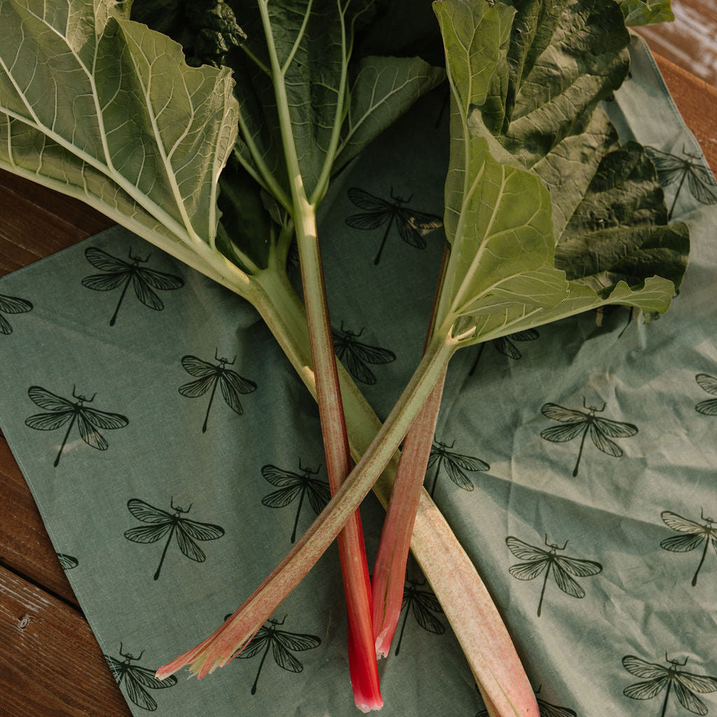 rhubarb displayed on off trail vermont green dragonfly bandana