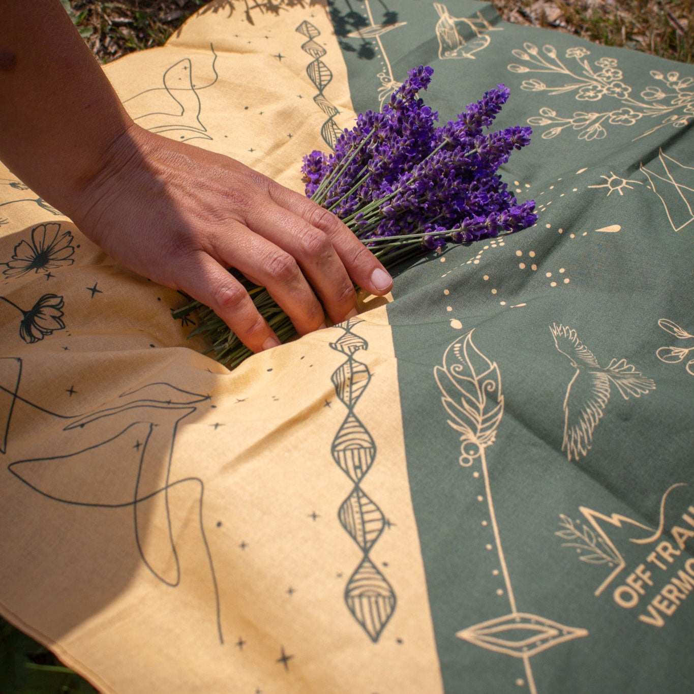 Hand holding a bundle of lavender over a green fabric with designs, surrounded by lavender plants.