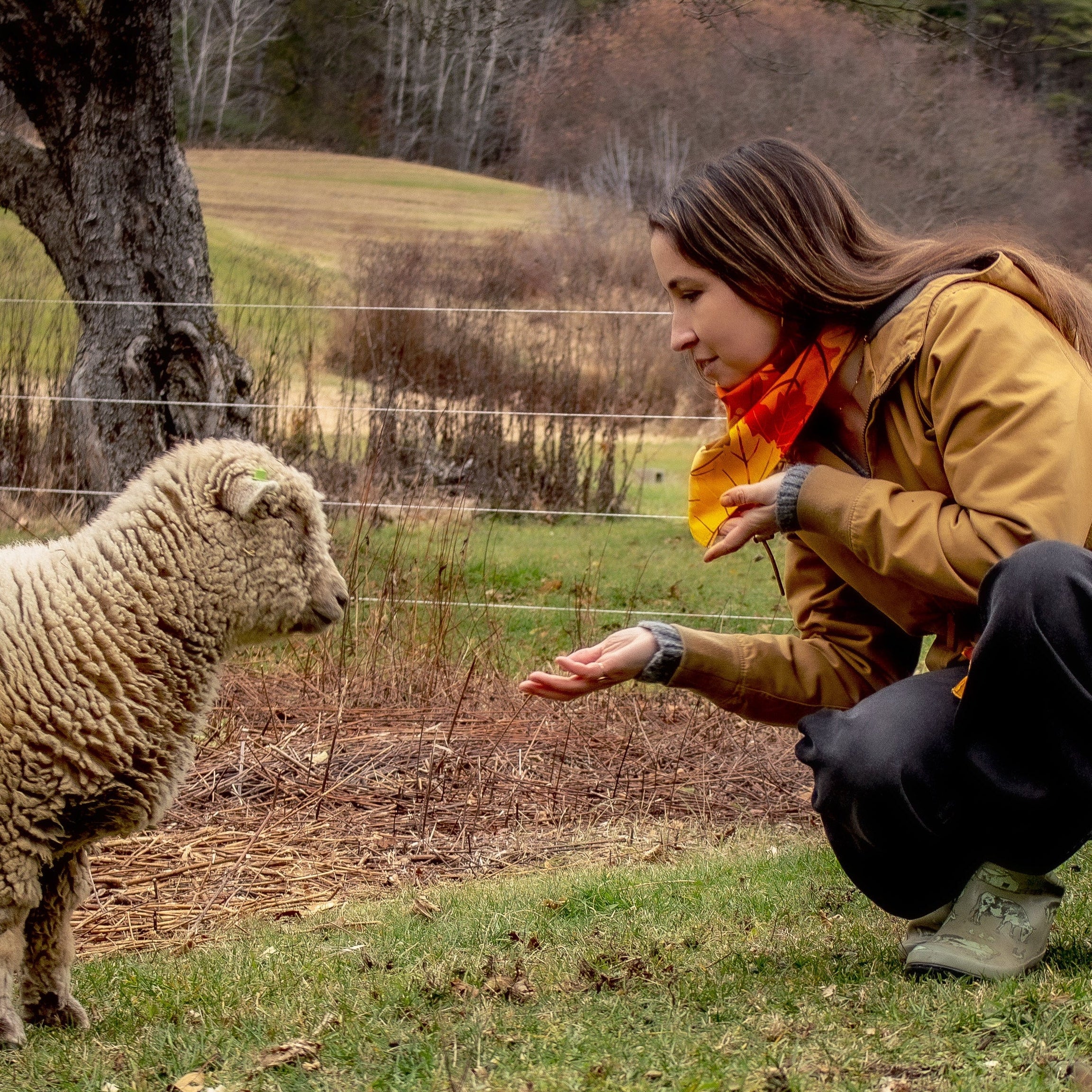 Woman in an llbean coat and leaf bandana interacting with sheep in a grassy field.