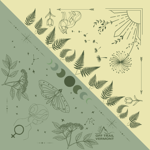 green and yellow boho feminine bandana with luna moth, elderflower, moon cycle for spring