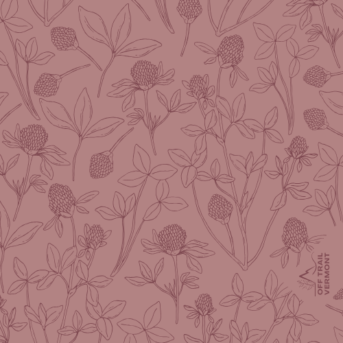 Field of Clovers pink with wildflower bandana